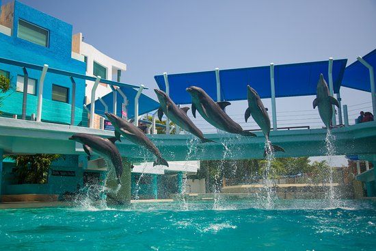 Museo de Cera de Cancún